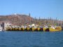 Baja05 - 001 * The off-season shrimping fleet sits at dock in Guaymas, Mexico. Comments have been pulled from our notes and from the Daily Expedition Reports at http://www.expeditions.com. While this was a 10 day trip, since we did not arrive until late in the day to Sea Voyager, I refer to the first full day as day 1